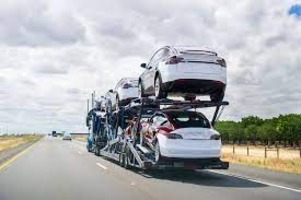 auto transport insurance requirements